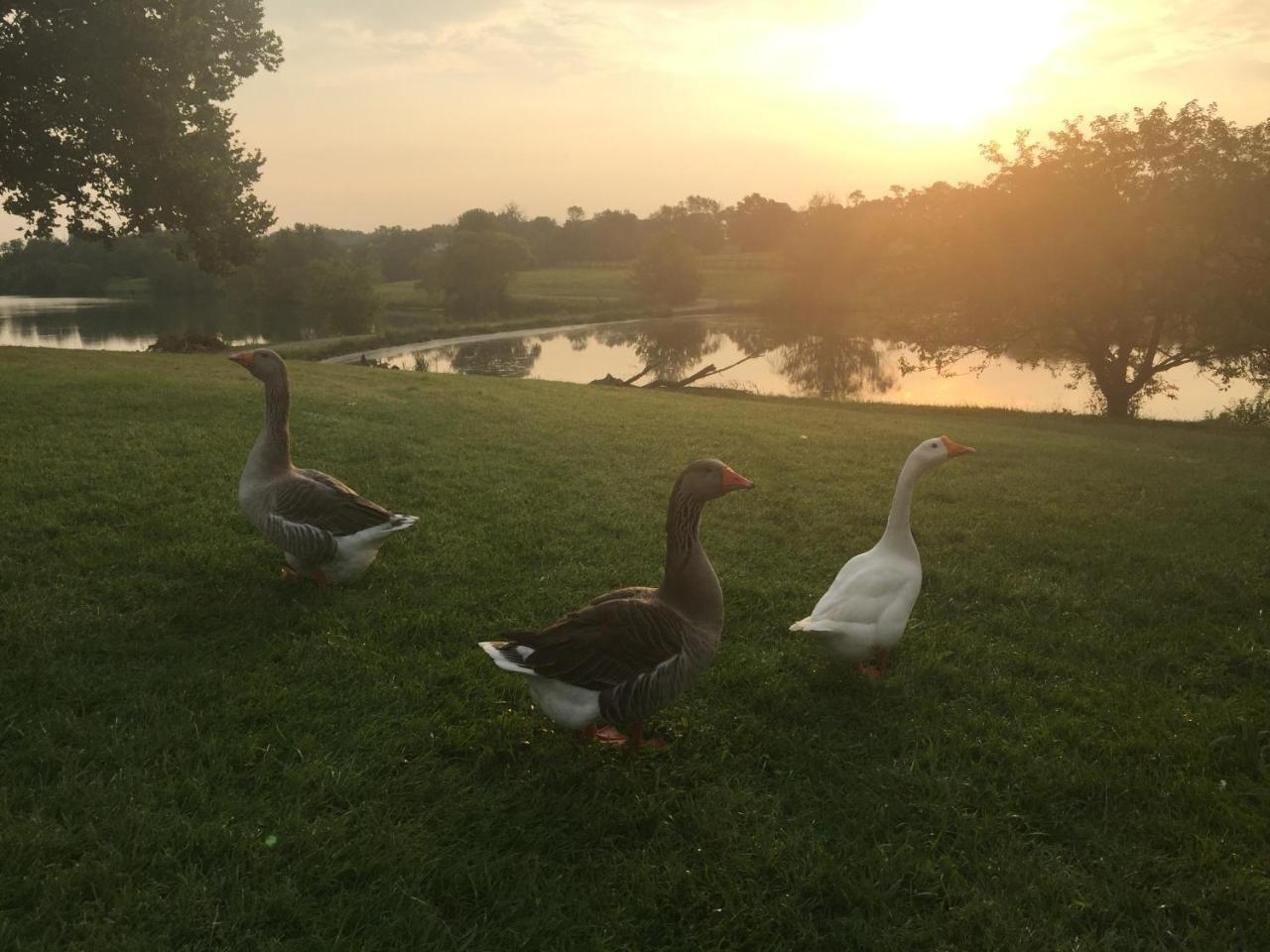 The B & B At Queenslake Midway 외부 사진